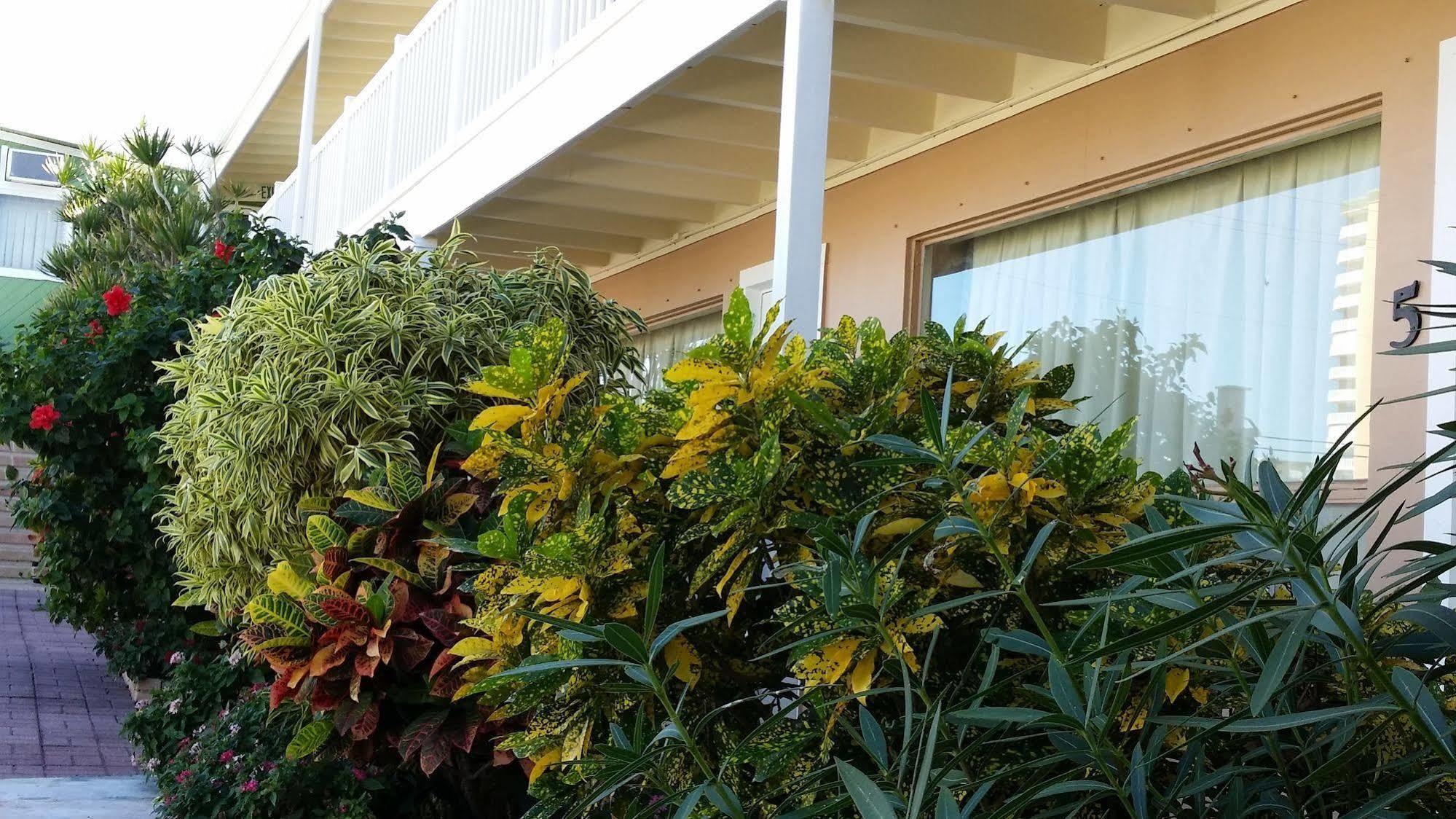Motel The Palms On Ocean Pompano Beach Exterior foto